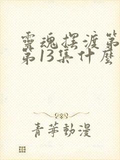 灵魂摆渡第三季第13集什么意思