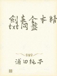 剑来全本精校版txt网盘