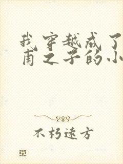 我穿越成了李公甫之子的小说