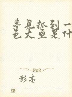 梦见抓到一条金色大鱼是什么征兆