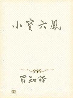 小宝六凤