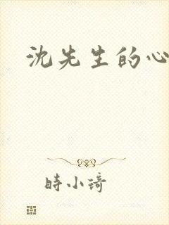 沈先生的心头宝封面