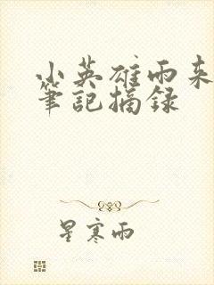 小英雄雨来读书笔记摘录封面