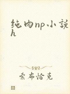纯肉np小说高h
