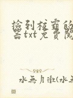 捡到校霸的遥控器txt免费阅读by阳阳