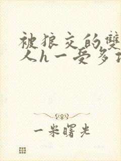 被狼交的双性美人h一受多攻文