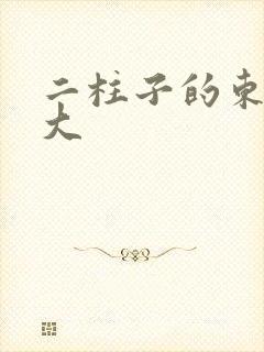 二柱子的东西真大