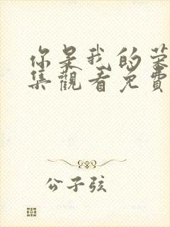 你是我的荣耀全集观看免费