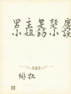 男主是楚尘和宋小姐的小说