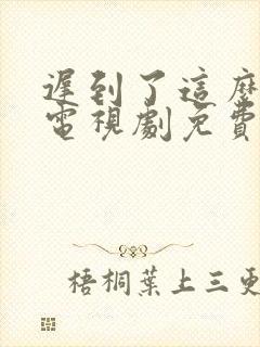 迟到了这么多年电视剧免费观看在线全集