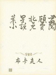 叶星北顾君逐的小说免费阅读