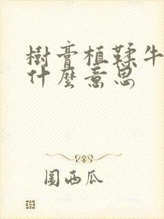 树膏植鞣牛皮是什么意思