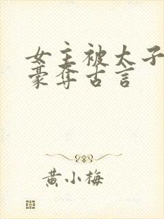 女主被太子强取豪夺古言封面