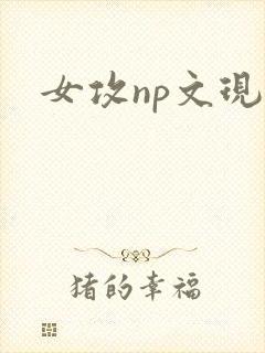 女攻np文现代封面