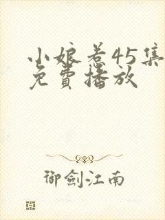 小娘惹45集全免费播放