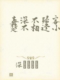 春深不归客,清楚不相逢小说封面