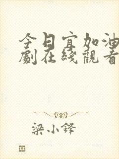 今日宜加油电视剧在线观看全集