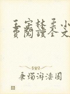 王宇林柔小说免费阅读全文最新章节封面