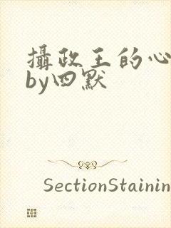 摄政王的心尖宠by四默