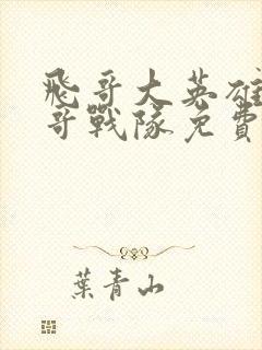 飞哥大英雄之飞哥战队免费观看