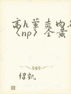 高h荤爽肉欲文〈np〉全黄