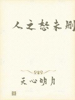 人之怒未删减版