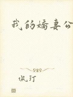 我的娇妻公务员