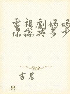 电视剧妈妈在等你总共多少集