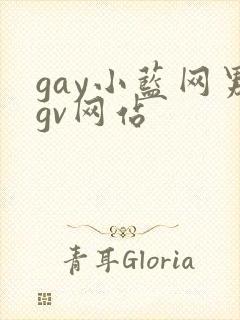 gay小蓝网男gv网站