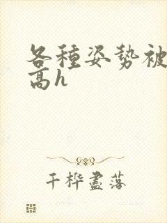 各种姿势被np高h封面