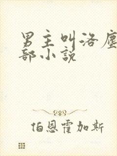 男主叫洛尘的全部小说