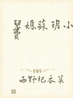 儿媳苏玥小说免费