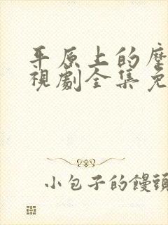 平原上的摩西电视剧全集免费