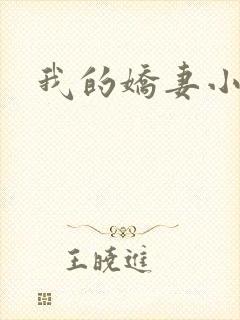 我的娇妻小说