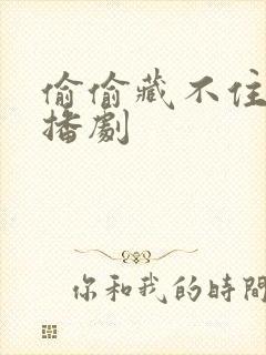 偷偷藏不住.广播剧