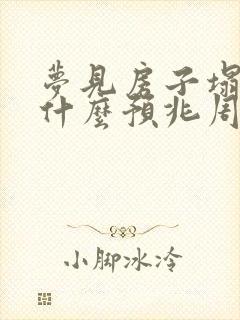 梦见房子塌了是什么预兆周公解梦封面