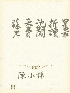 苏禾沈折星小说免费阅读最新章节封面