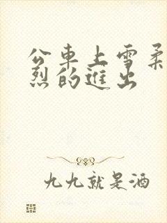 公车上雪柔被猛烈的进出