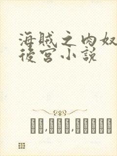 海贼之肉奴催眠后宫小说