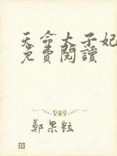 天命太子妃小说免费阅读封面