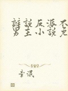 谁说反派不能当男主小说免费阅读