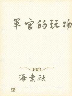 军官的玩物