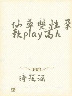 仙尊双性孕夫调教play高h