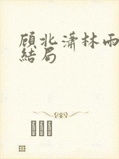 顾北潇林雨菲大结局封面