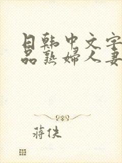 日韩中文字幕精品熟妇人妻