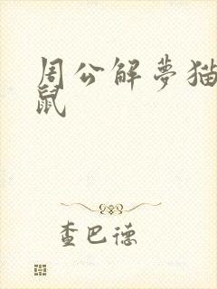 周公解梦猫捉老鼠