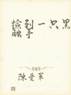 捡到一只黑心小触手