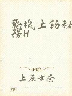 飞机上的秘密服务H封面