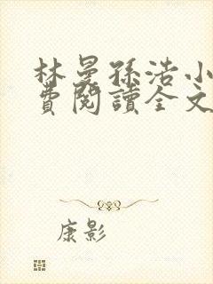 林曼孙浩小说免费阅读全文最新章节