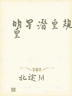 明星潜皇规则之皇封面